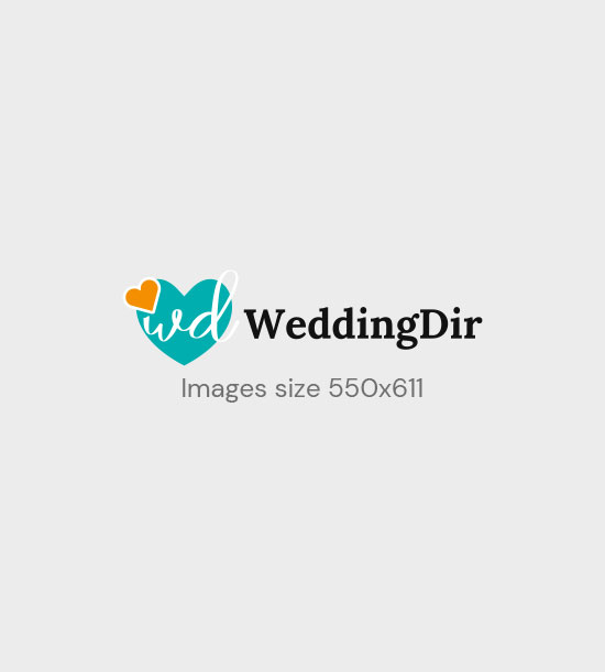 PlanSnaps Listing Category Cheese